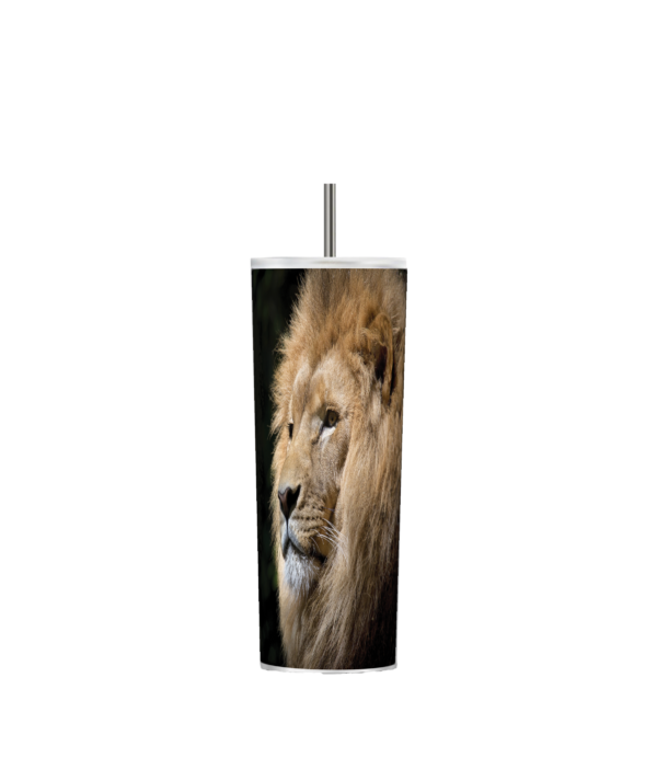 Tumblers - Image 8