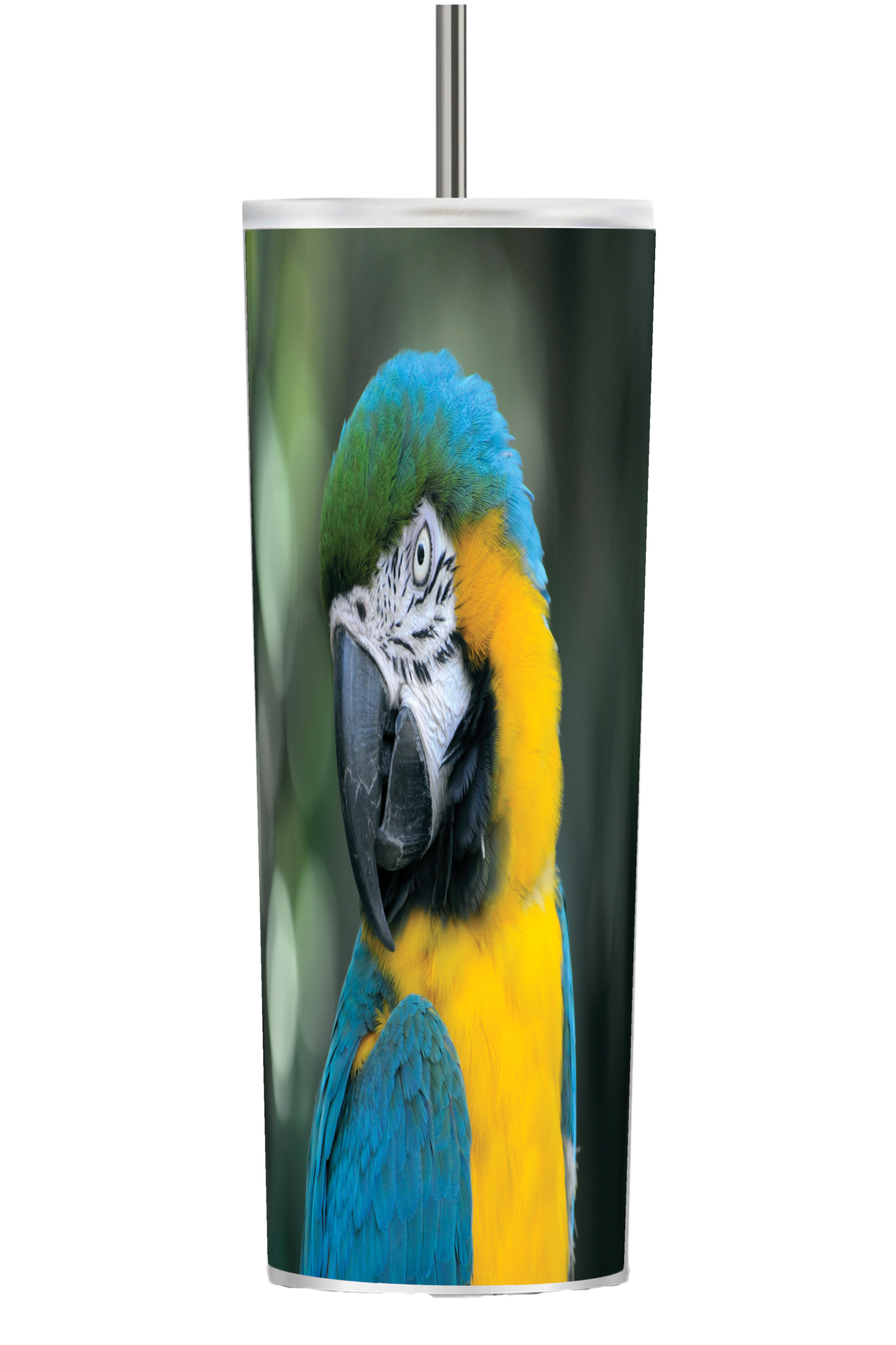 Tumbler Template Parrot